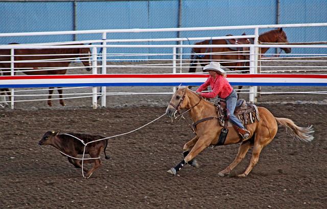109 cody, rodeo.JPG